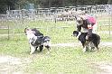 Puppy Femelles